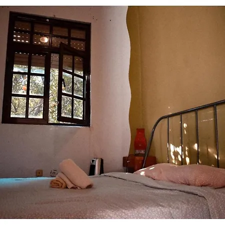 Albergue Family Adams House *