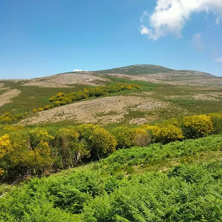 Family Adams House *