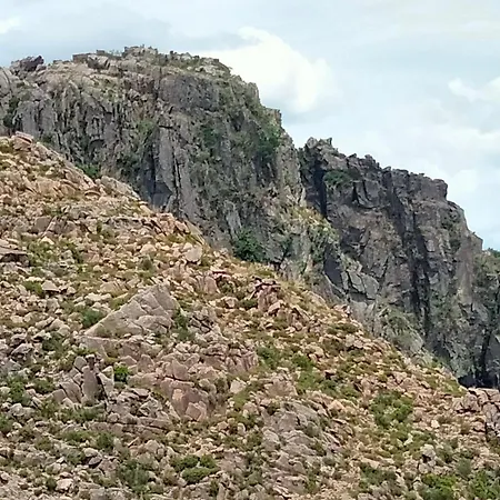 ホステル Family Adams House