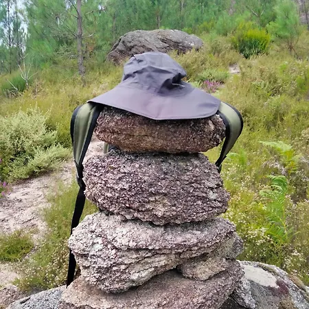 Family Adams House *