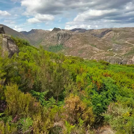 Hostel Family Adams House