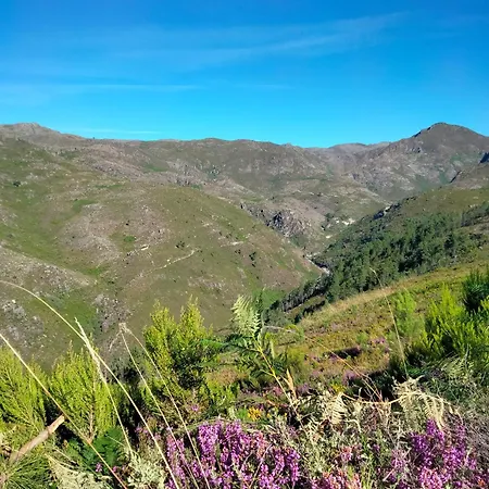 ホステル Family Adams House