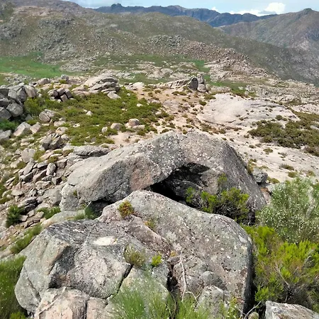 Family Adams House ホステル *