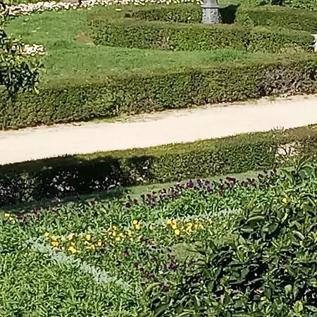 بيت شباب Family Adams House *
