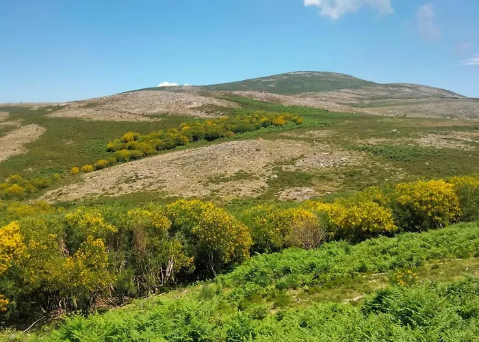 Family Adams House *