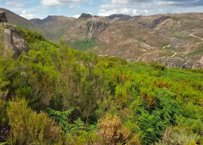 Ostello Family Adams House