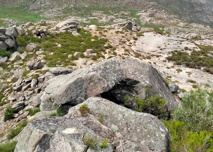 Family Adams House Hostel *