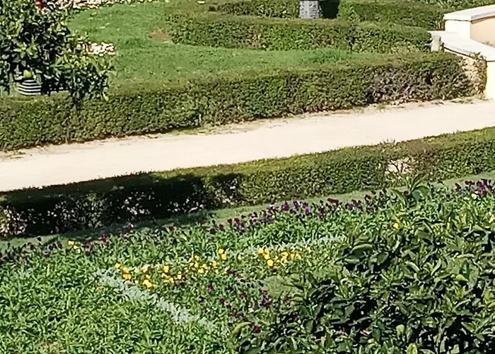 بيت شباب Family Adams House *